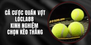 Cá Cược Quần Vợt LOCLA88 - Kinh Nghiệm Chọn Kèo Thắng